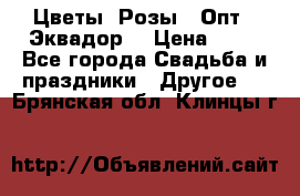 Цветы. Розы.  Опт.  Эквадор. › Цена ­ 50 - Все города Свадьба и праздники » Другое   . Брянская обл.,Клинцы г.